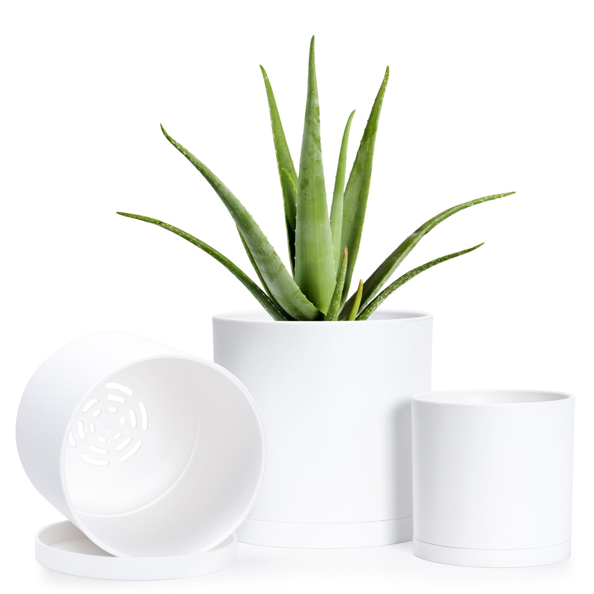 D'vine Dev 4-inch planter pot with drainage hole and seamless saucer for clean indoor growth.