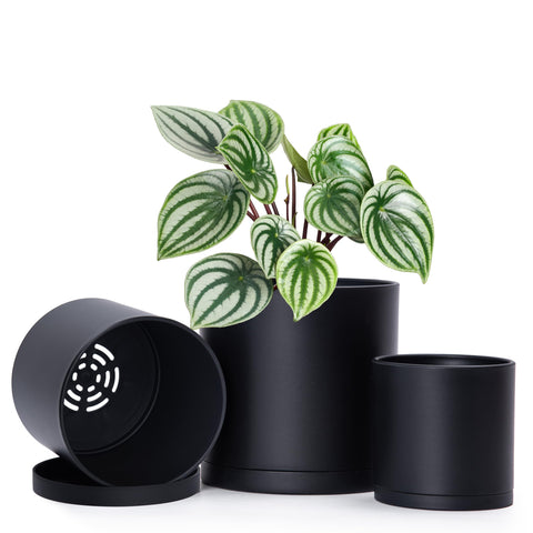 D'vine Dev 4-inch planter pot with drainage hole and seamless saucer for tidy herb setup.