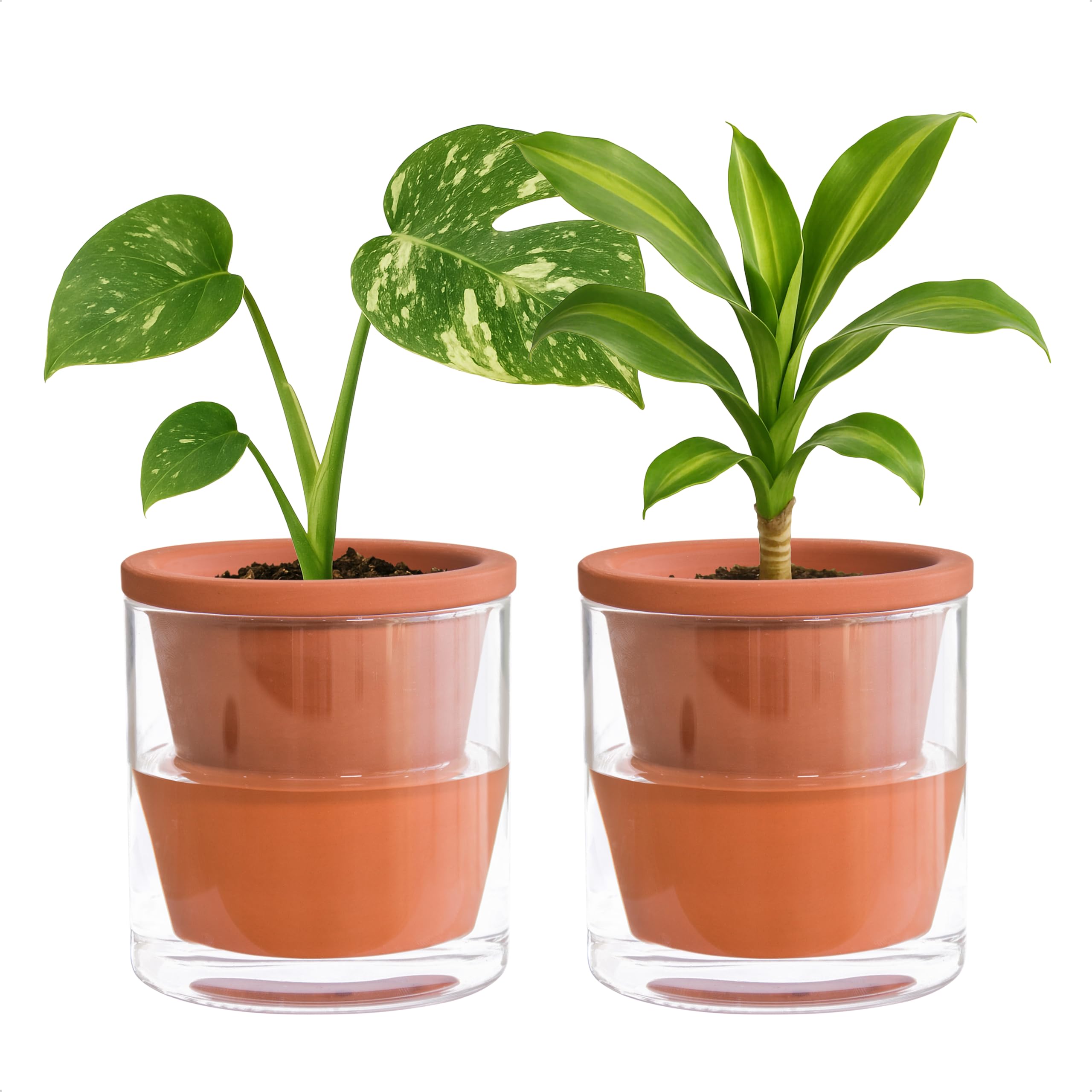 D'vine Dev 4-inch self-watering pot with terracotta and glass cup keeps indoor herbs evenly moist.