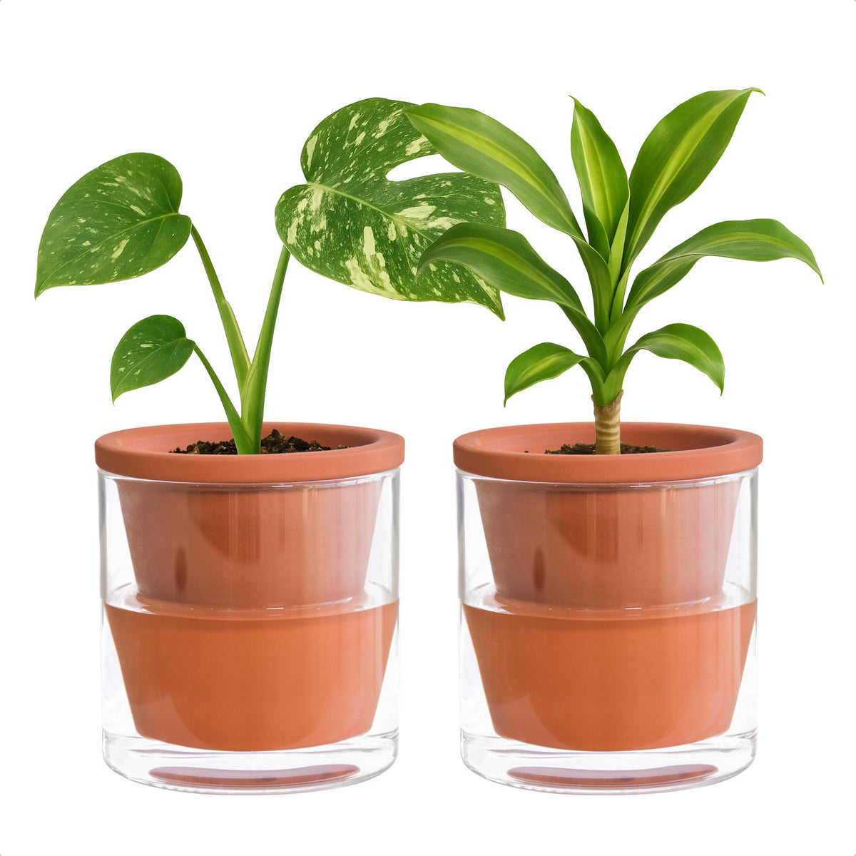 D'vine Dev 4-inch self-watering pot with terracotta and glass cup keeps indoor herbs evenly moist.