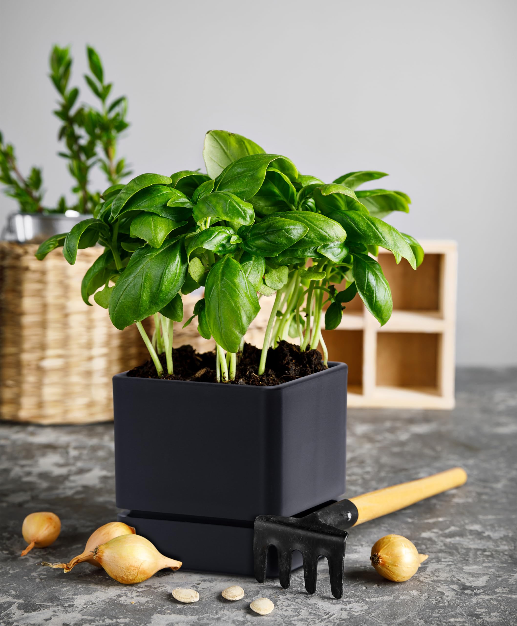 D'vine Dev 4-Inch herb planter, side profile, minimalist design for modern interiors.