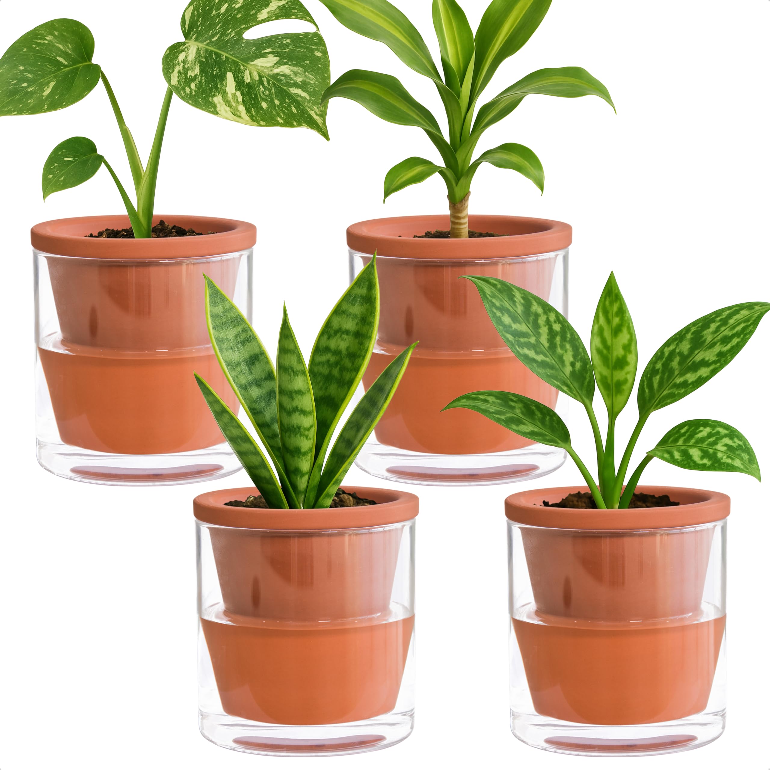 D'vine Dev 4-inch self-watering pot with terracotta and glass cup for tidy indoor moisture.