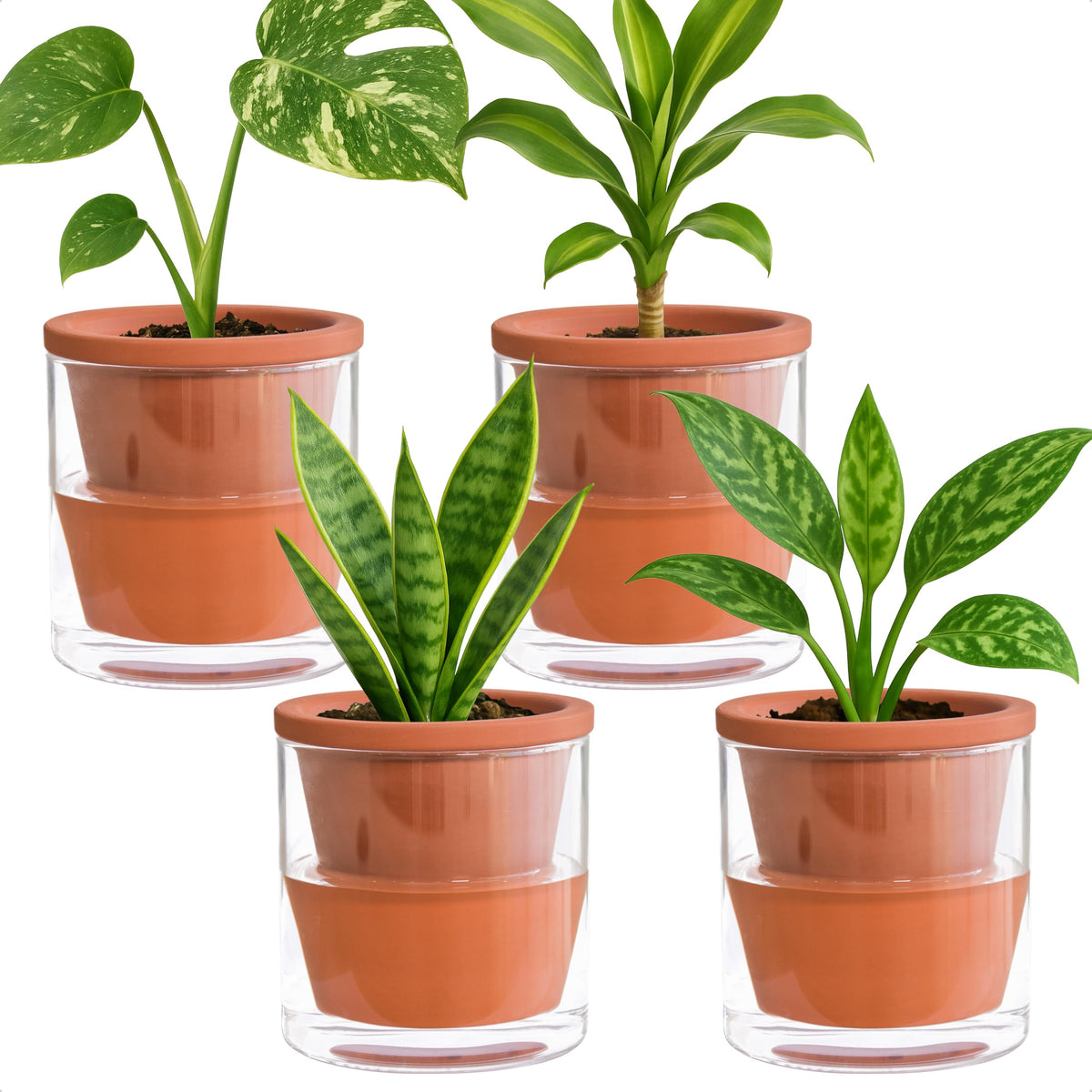 D'vine Dev 4-inch self-watering pot with terracotta and glass cup for tidy indoor moisture.