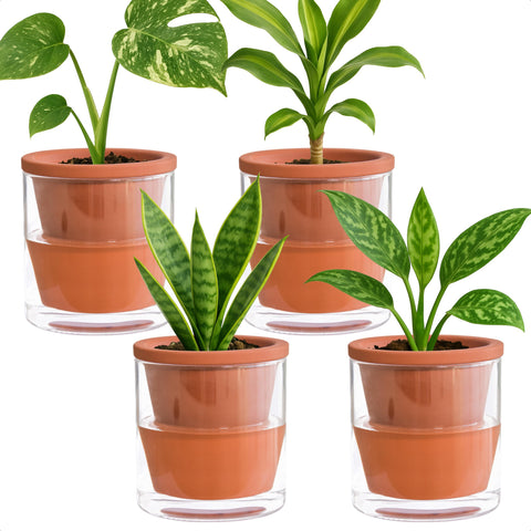 D'vine Dev 4-inch self-watering pot with terracotta and glass cup for tidy indoor moisture.
