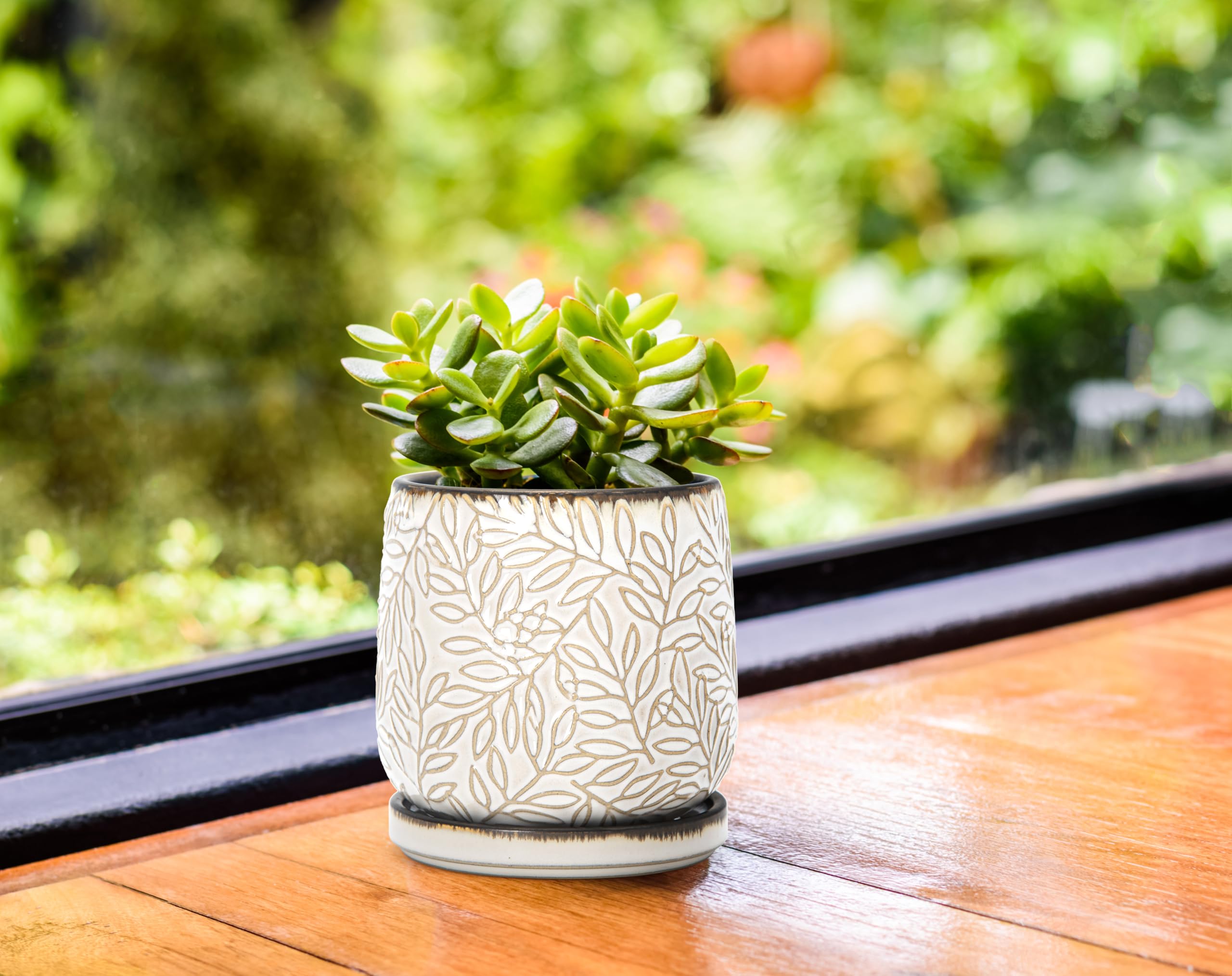 D'vine Dev 4 inch two-pack planter arrangement for coordinated décor