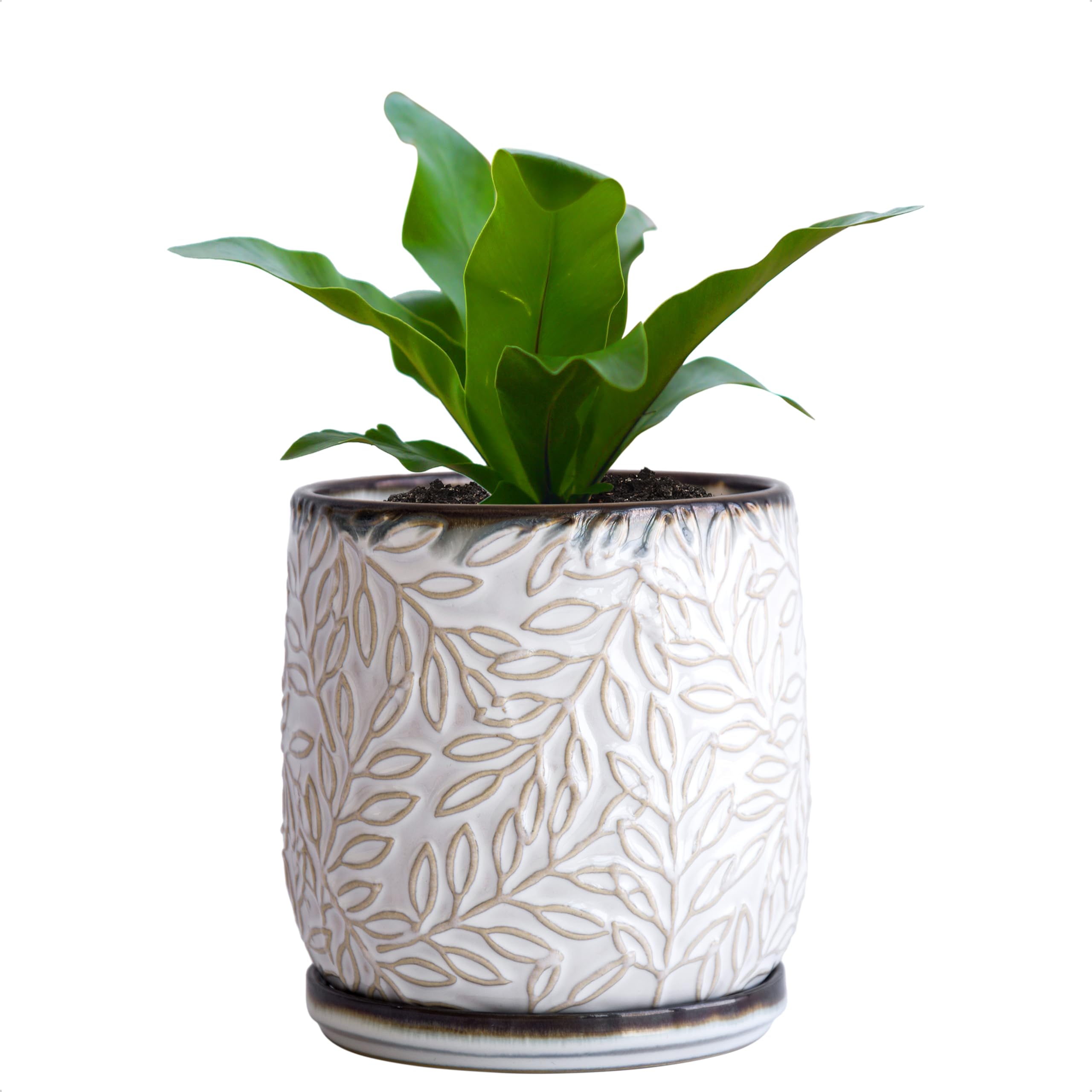 D'vine Dev 5inch embossed leaves planter with drainage hole for healthy watering