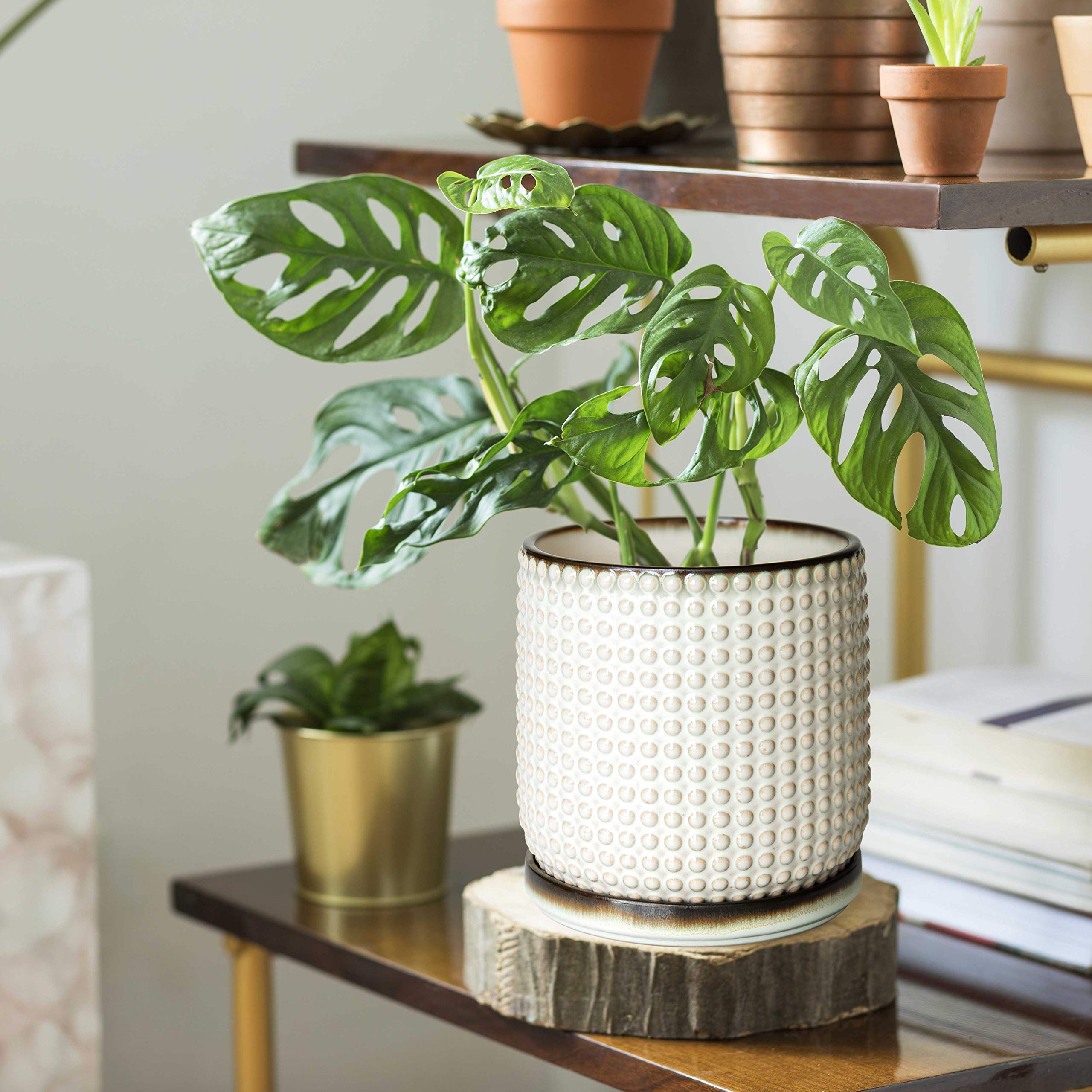 D'vine Dev planter smoked white side view highlighting compact footprint.