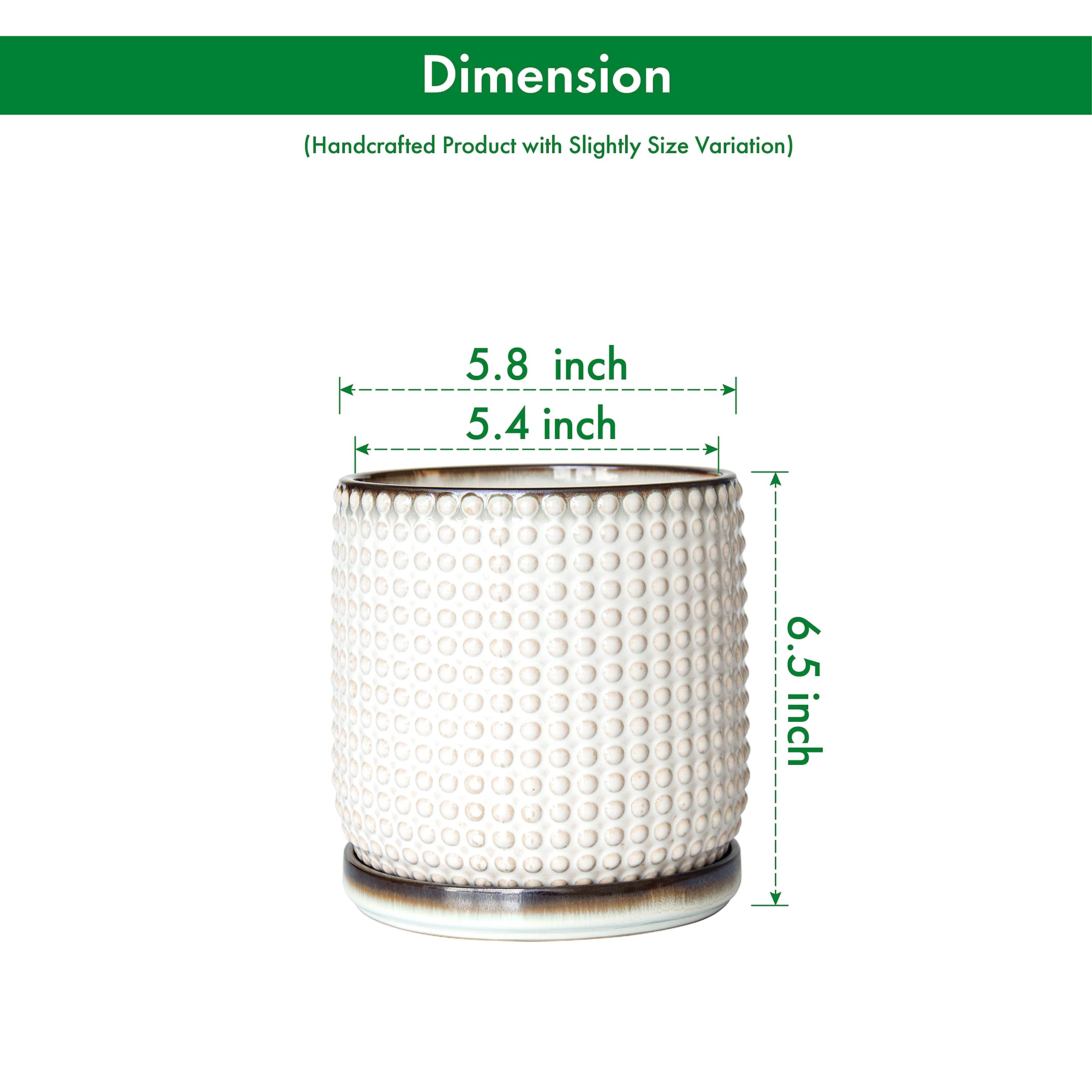 D'vine Dev 6-Inch planter top-down view displaying beaded texture and drainage design.