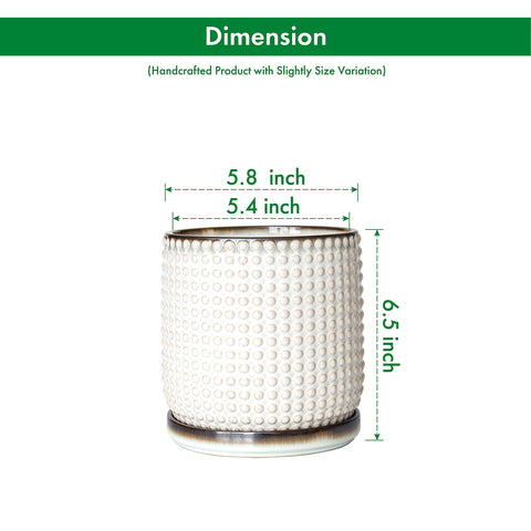 D'vine Dev 6-Inch planter top-down view displaying beaded texture and drainage design.
