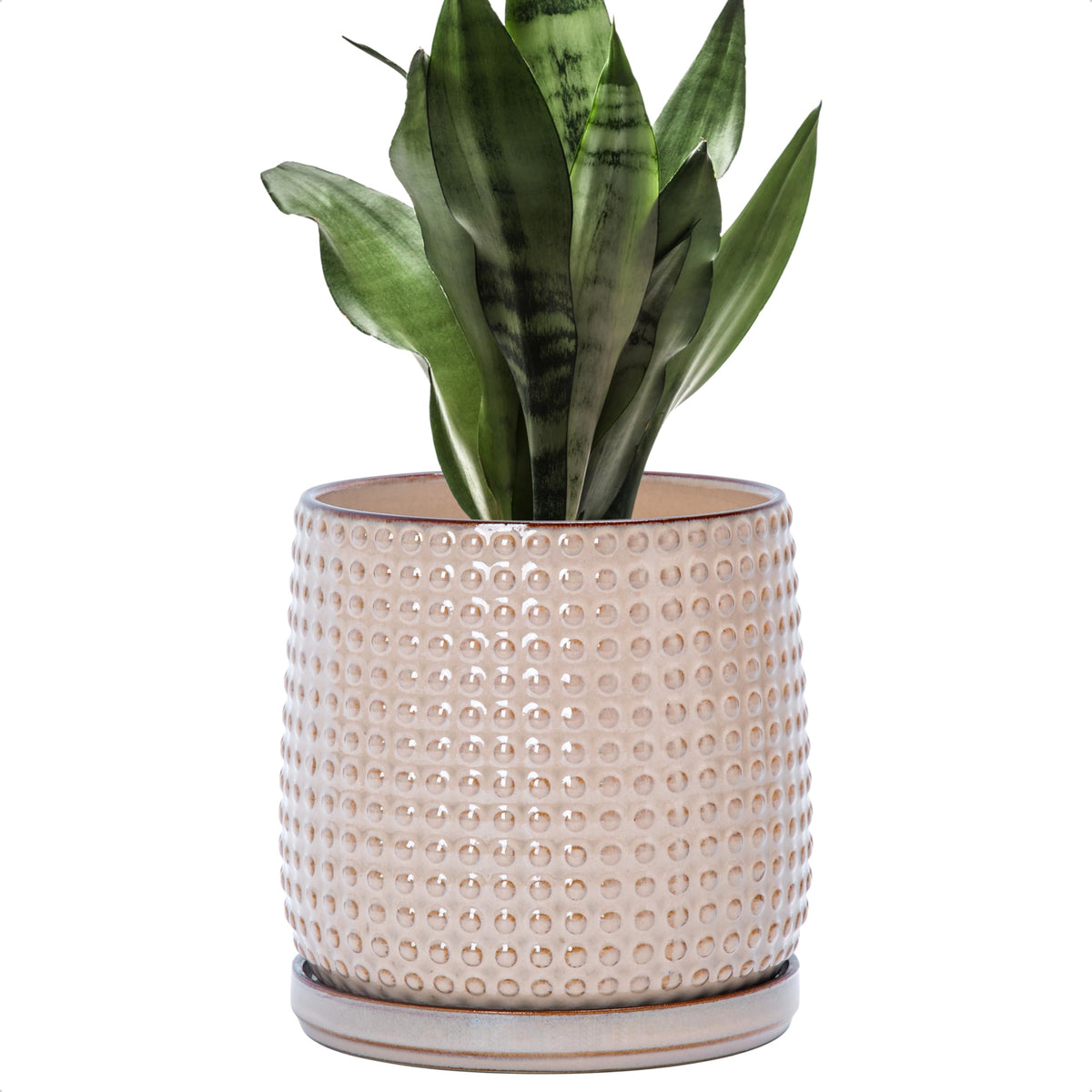D'vine Dev 6-inch beaded planter pot top view with textured surface for modern decor.