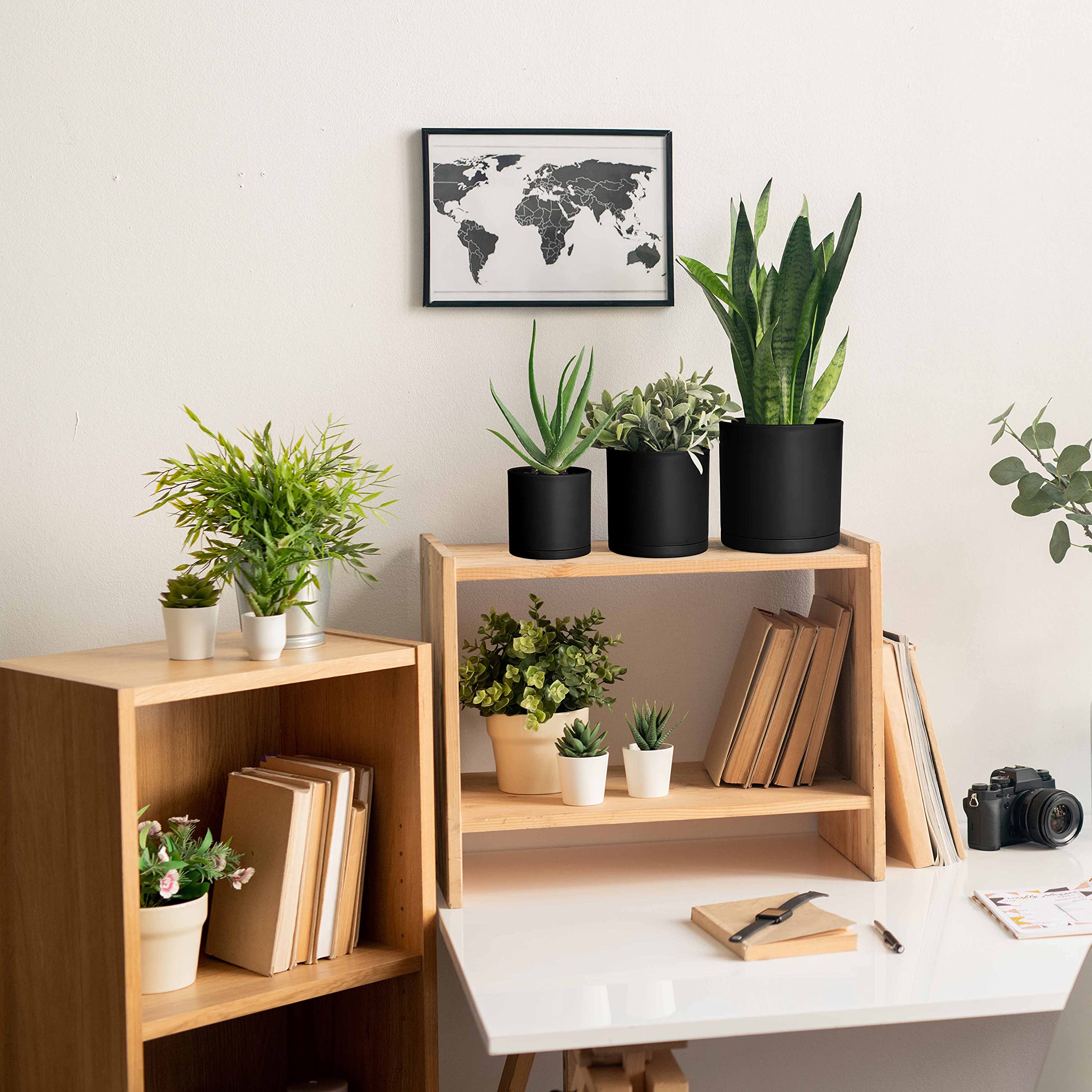 D'vine Dev black minimalist planter on a window sill for a modern look.
