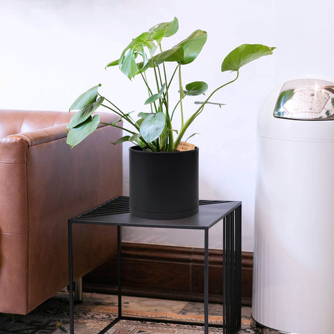 D'vine Dev black plastic planter set ready for home décor