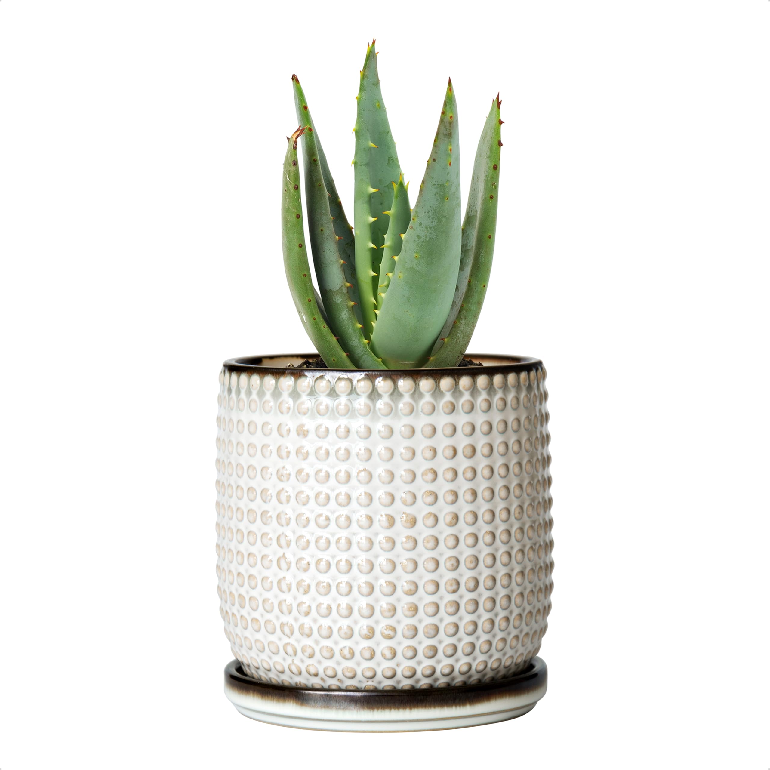 D'vine Dev 4-inch ceramic beaded planter with drainage for healthy indoor greenery.