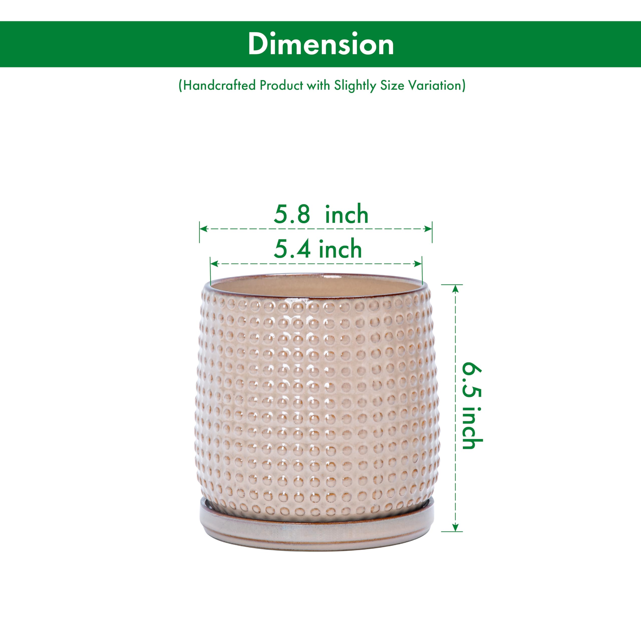 D'vine Dev planter with drainage holes supports healthy indoor plant care.