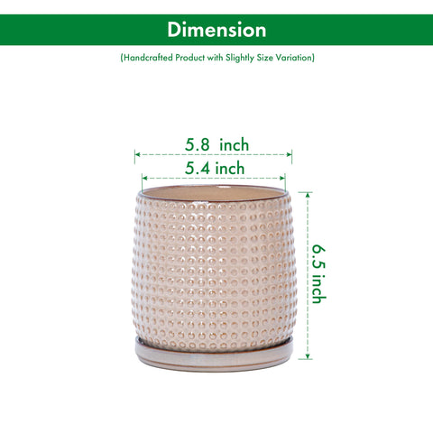 D'vine Dev planter with drainage holes supports healthy indoor plant care.