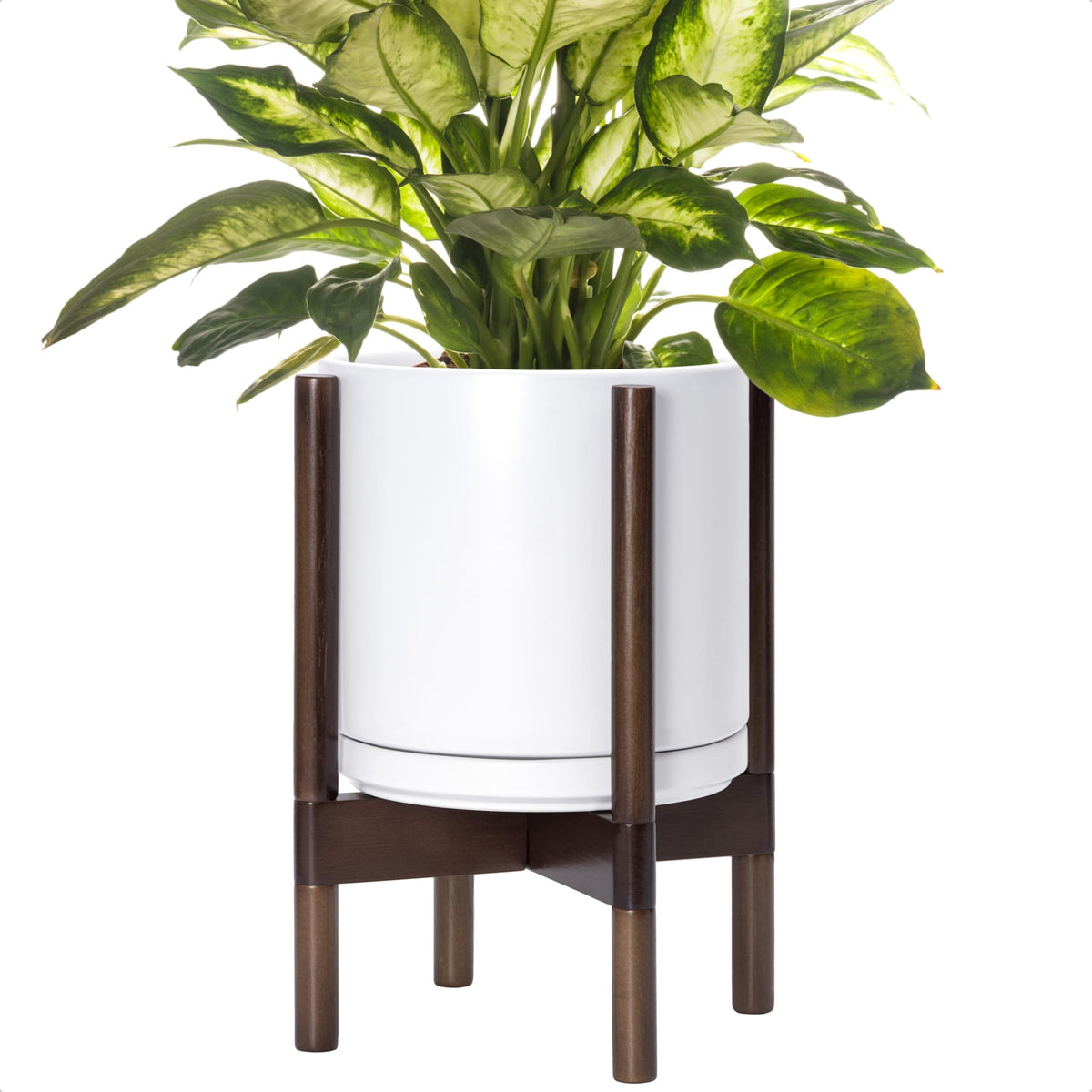 D'vine Dev ceramic planter 10in with walnut stand, ideal for stylish indoor greenery.
