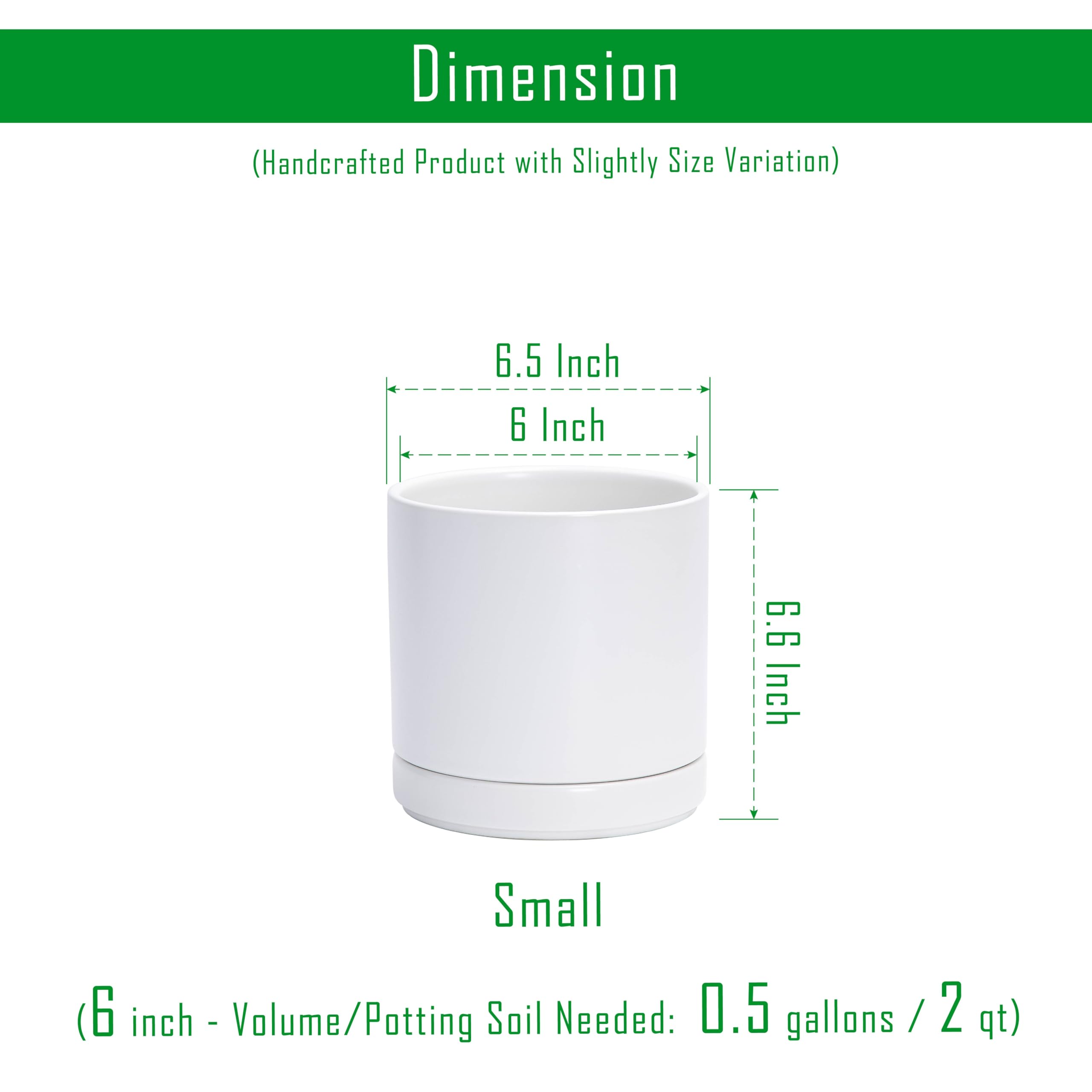 D'vine Dev ceramic planter with detachable saucer for mess-free display.