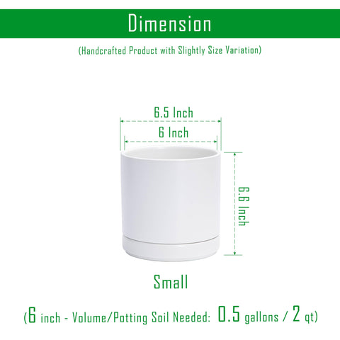 D'vine Dev ceramic planter with detachable saucer for mess-free display.