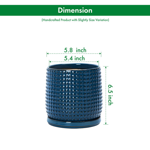 D'vine Dev planter includes saucer for stable placement and spill prevention