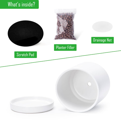 D'vine Dev ceramic saucer tray to catch spills