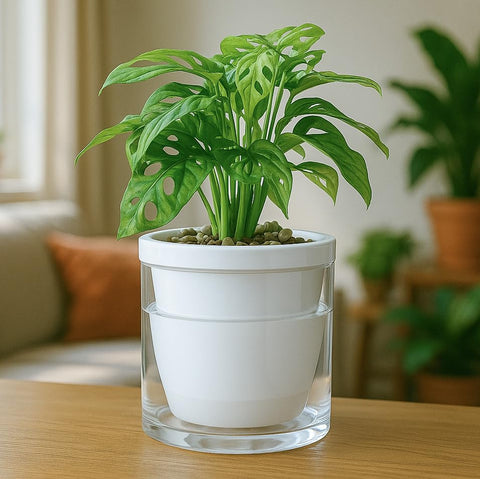 D'vine Dev easy-clean tabletop solution keeps surfaces tidy.
