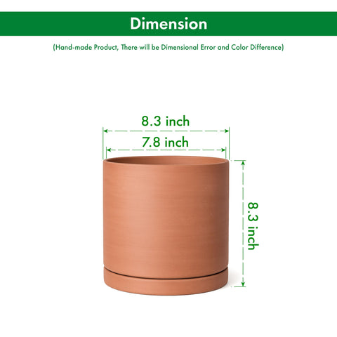 D'vine Dev close-up terracotta texture showcasing warm matte finish.