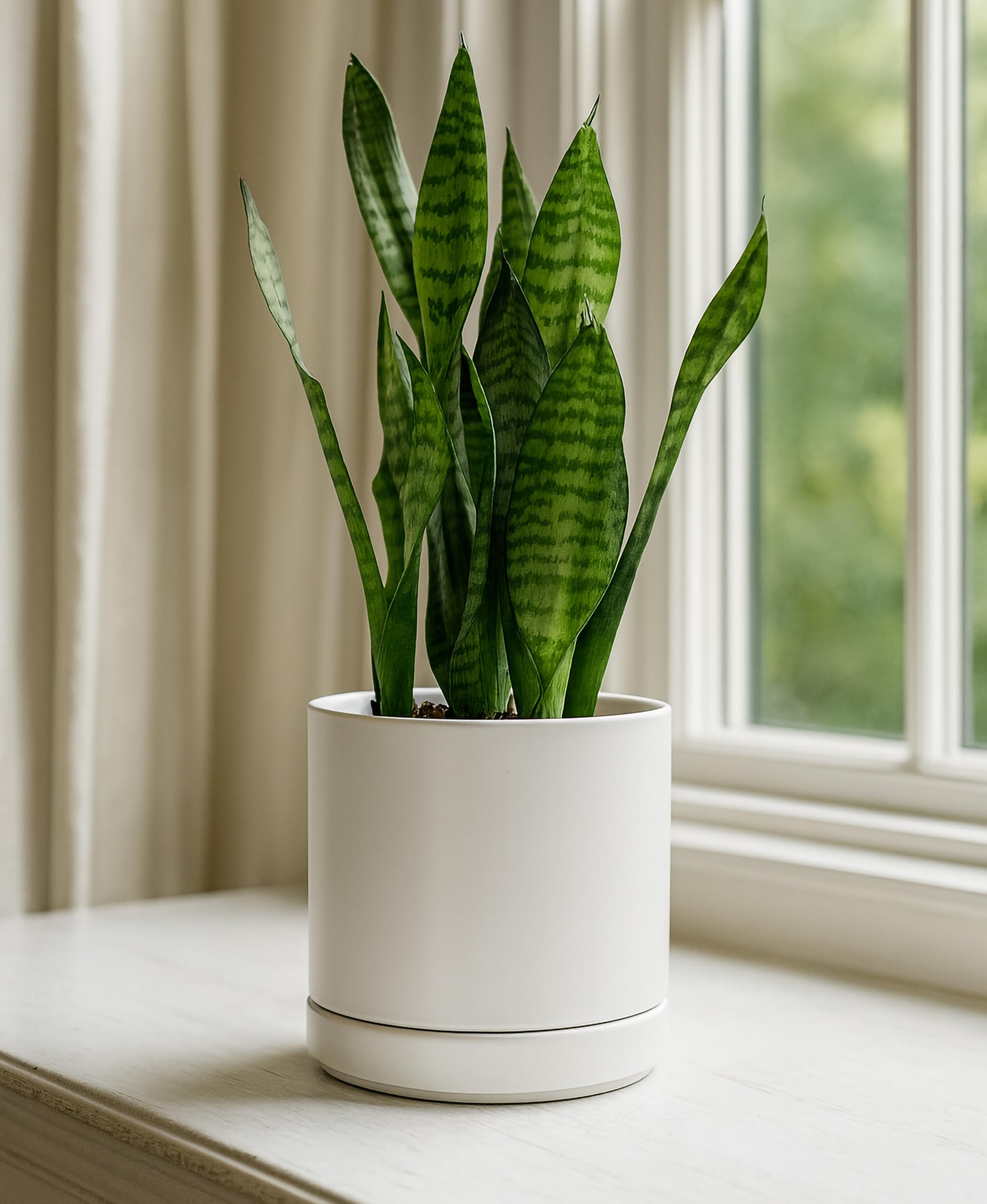 D'vine Dev close-up glaze shows glossy durable finish.