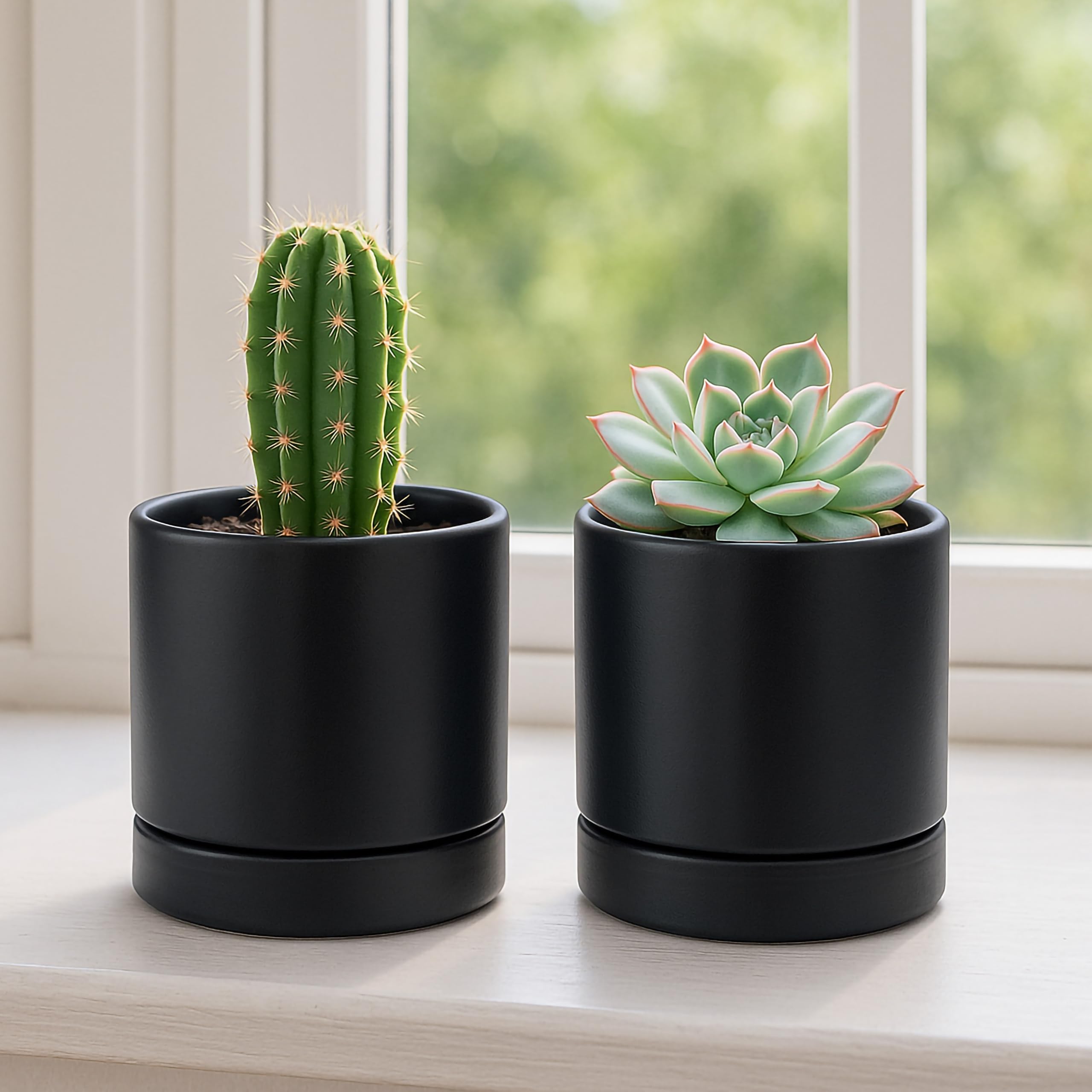 Dvine Dev compact indoor plant display on a desk or shelf.