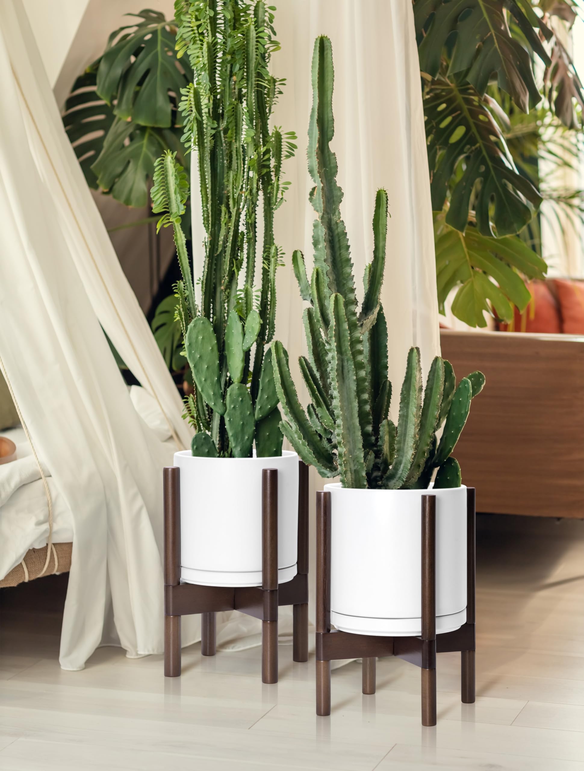 D'vine Dev complete planter and wood stand offer modular display.