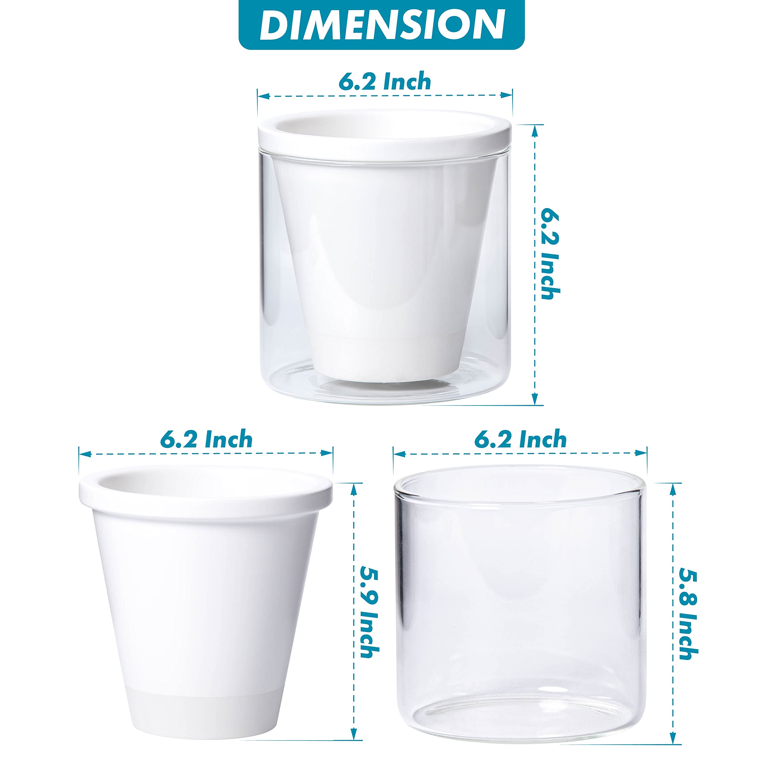 D'vine Dev cylinder glass cup clarifies water level for easy plant care.