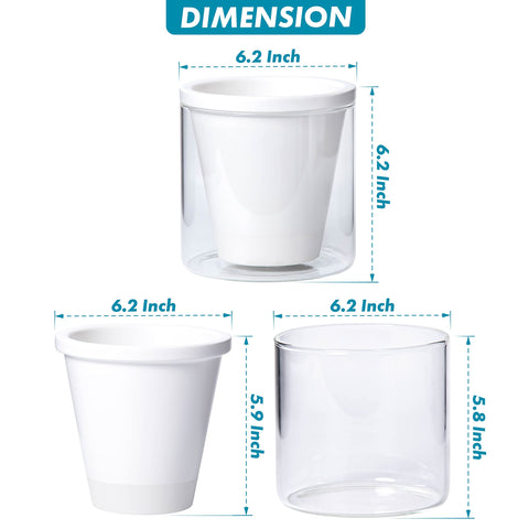 D'vine Dev cylinder glass cup clarifies water level for easy plant care.