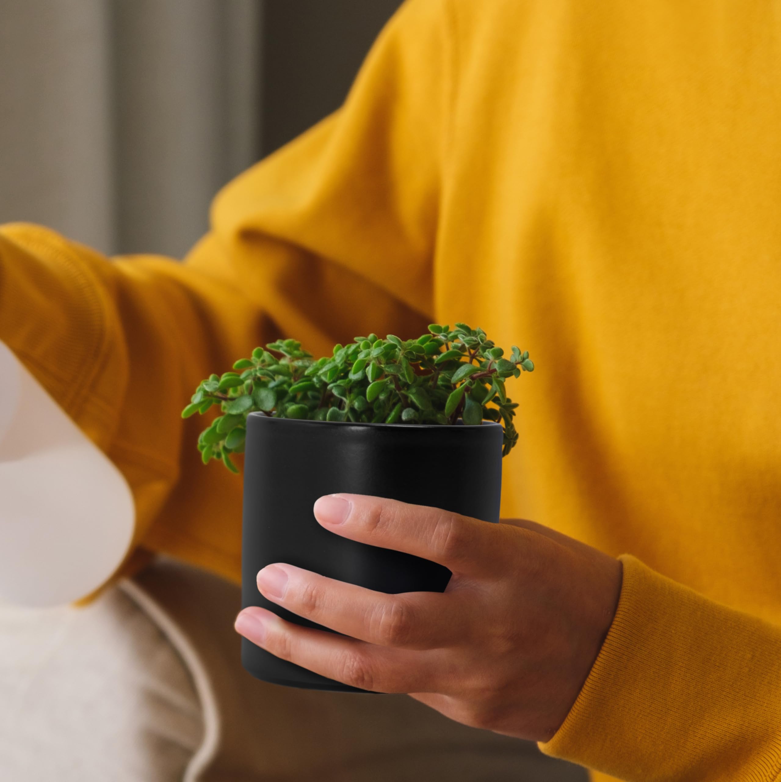 D'vine Dev's damage-free replacement policy for damaged packages or planters.