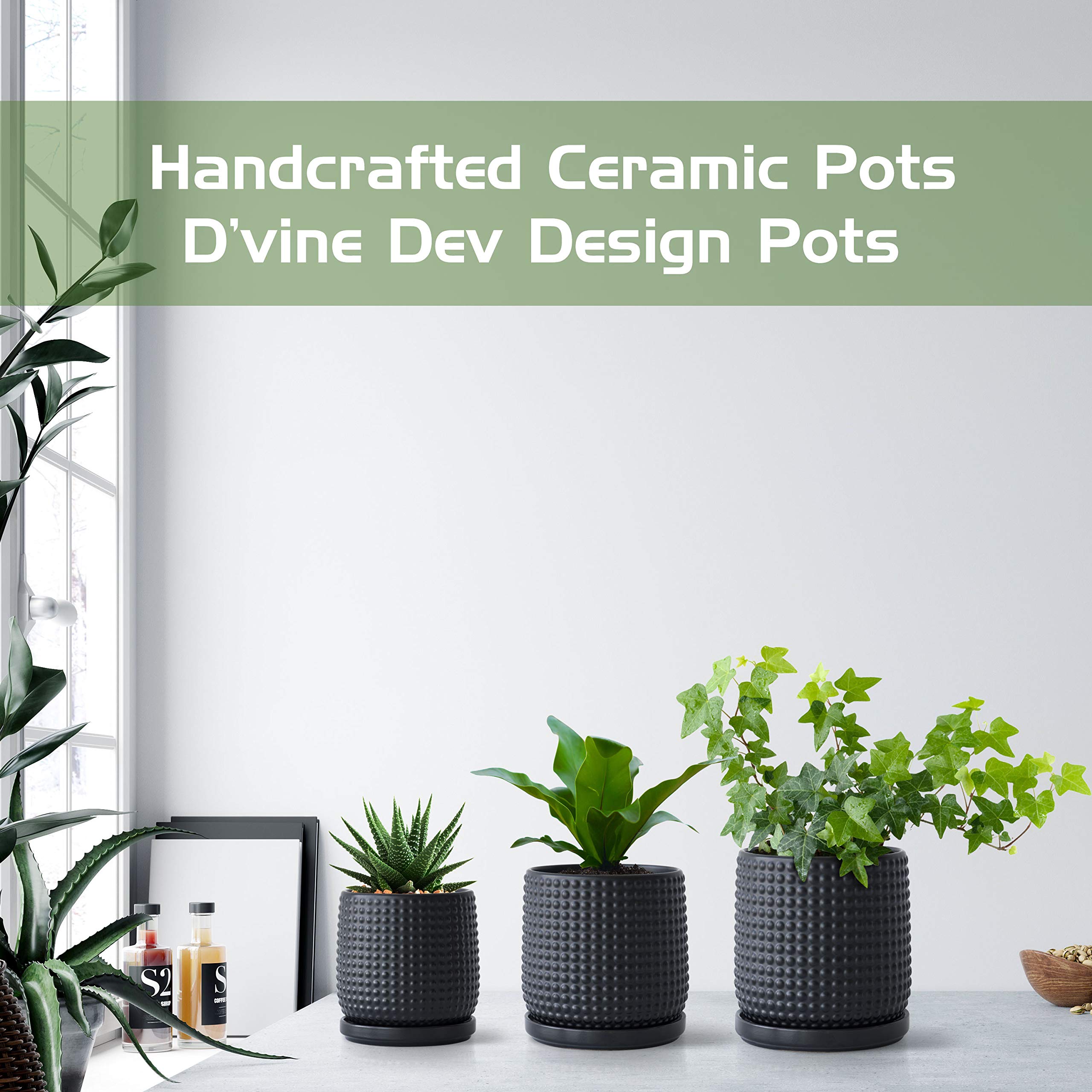 D'vine Dev compact planter used on a desk or windowsill