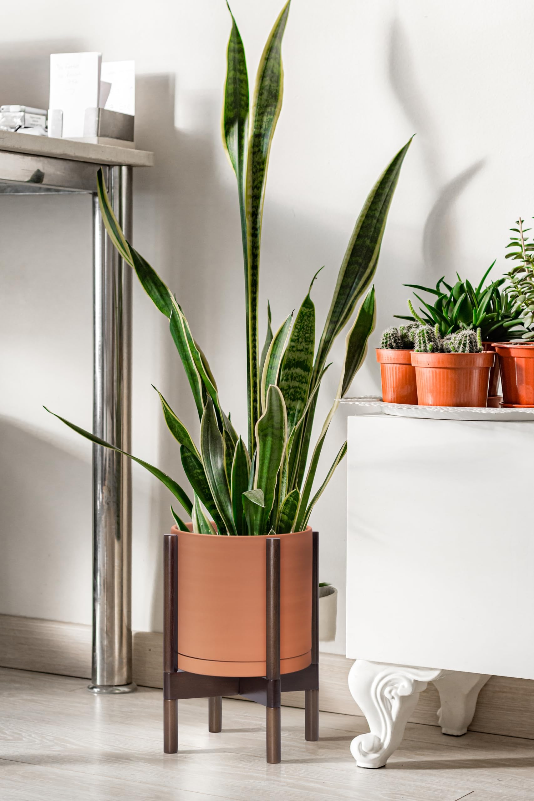 Planter includes drainage hole and detachable saucer for easy care.