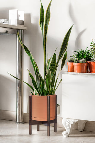 Planter includes drainage hole and detachable saucer for easy care.