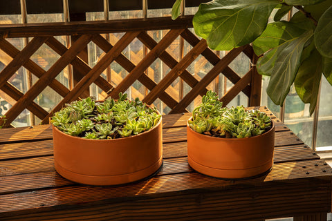 D'vine Dev drainage mesh and pad protect tabletop and keep soil in place