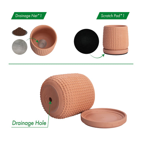 D'vine Dev drainage net and pad included to keep soil contained.