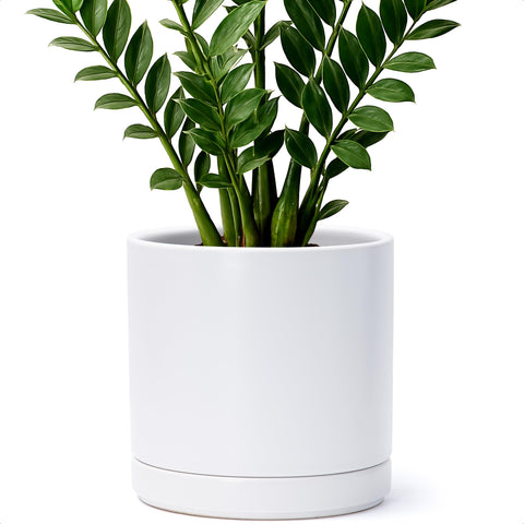 D'vine Dev durable white ceramic planter ready for delivery