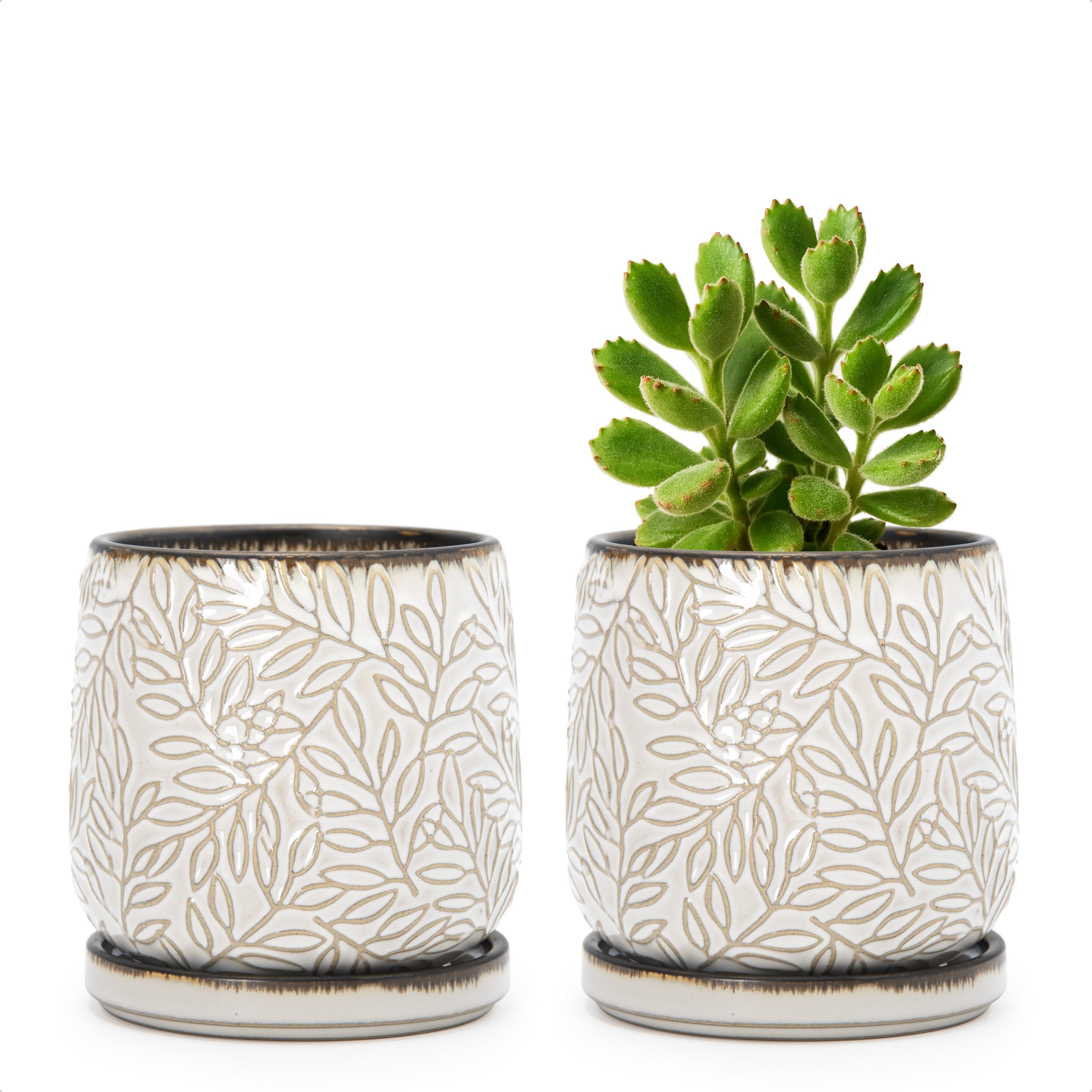 D'vine Dev embossed leaves planter with drainage for thriving indoor plants