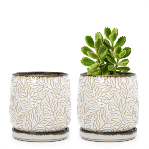 D'vine Dev embossed leaves planter with drainage for thriving indoor plants