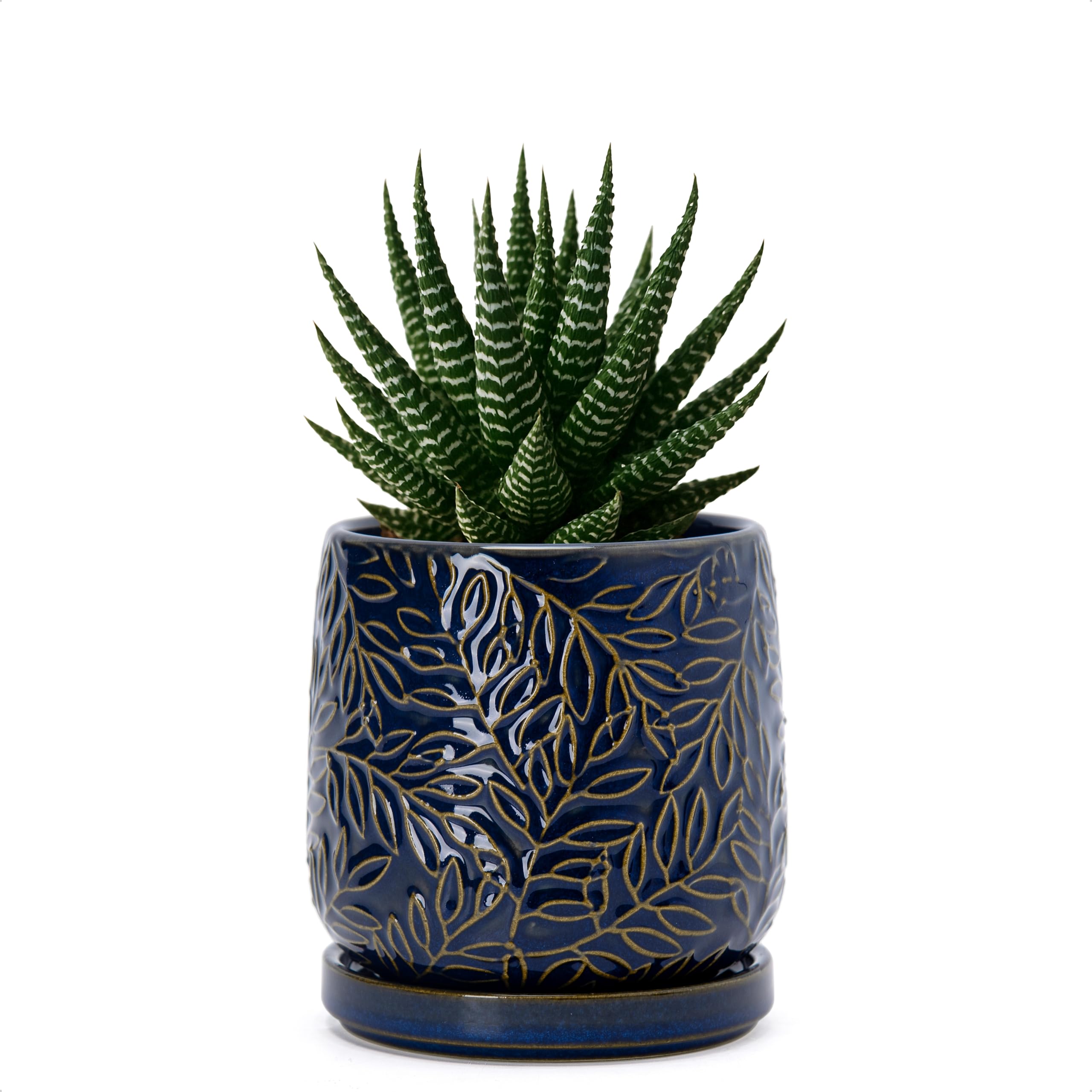 D'vine Dev embossed leaves planter in midnight blue for stylish indoor greenery.