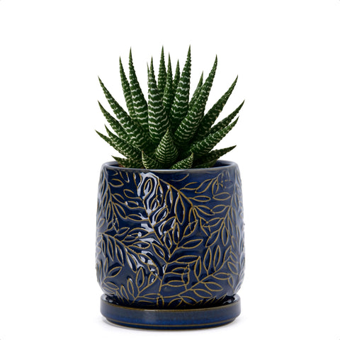 D'vine Dev embossed leaves planter in midnight blue for stylish indoor greenery.