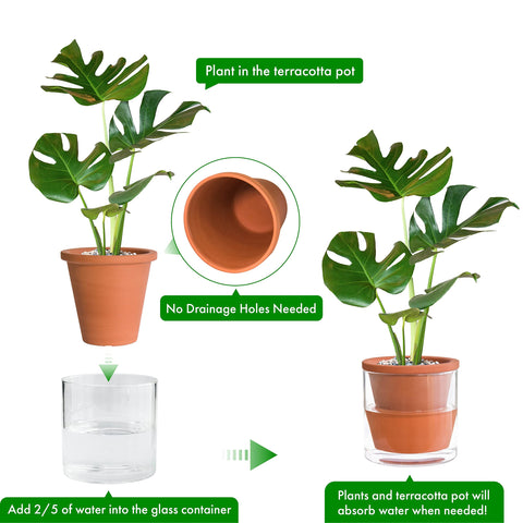No drainage holes design to minimize leaks and keep surfaces clean.