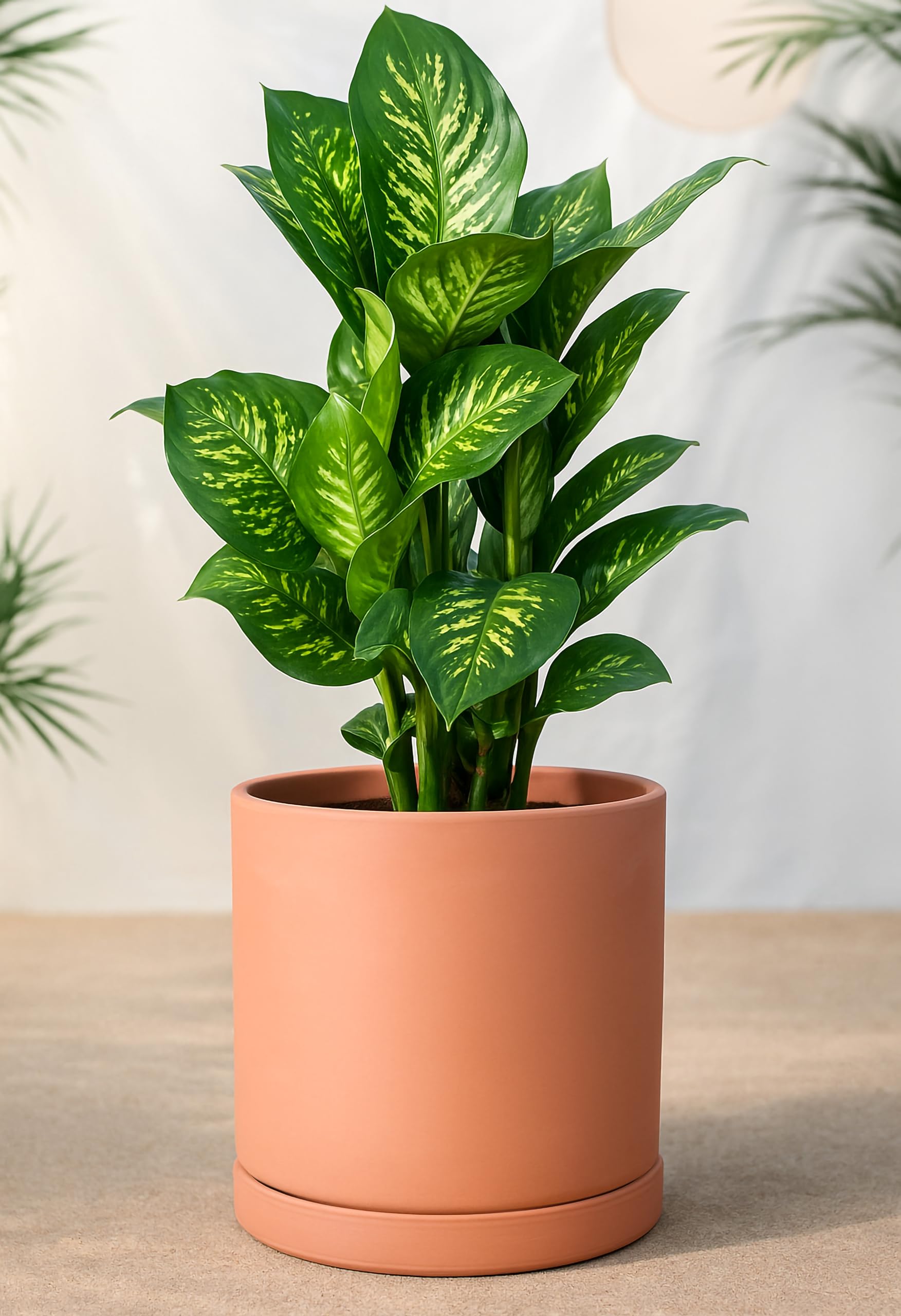 D'vine Dev handcrafted terracotta pot showcases texture and artisan craftsmanship.