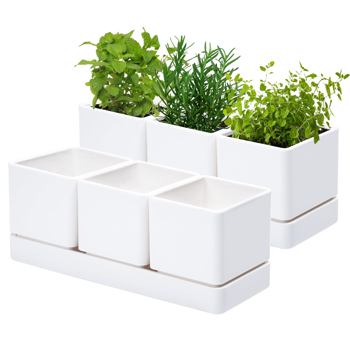 D'vine Dev herb planter set 2—compact pots with tray for windowsill herb garden