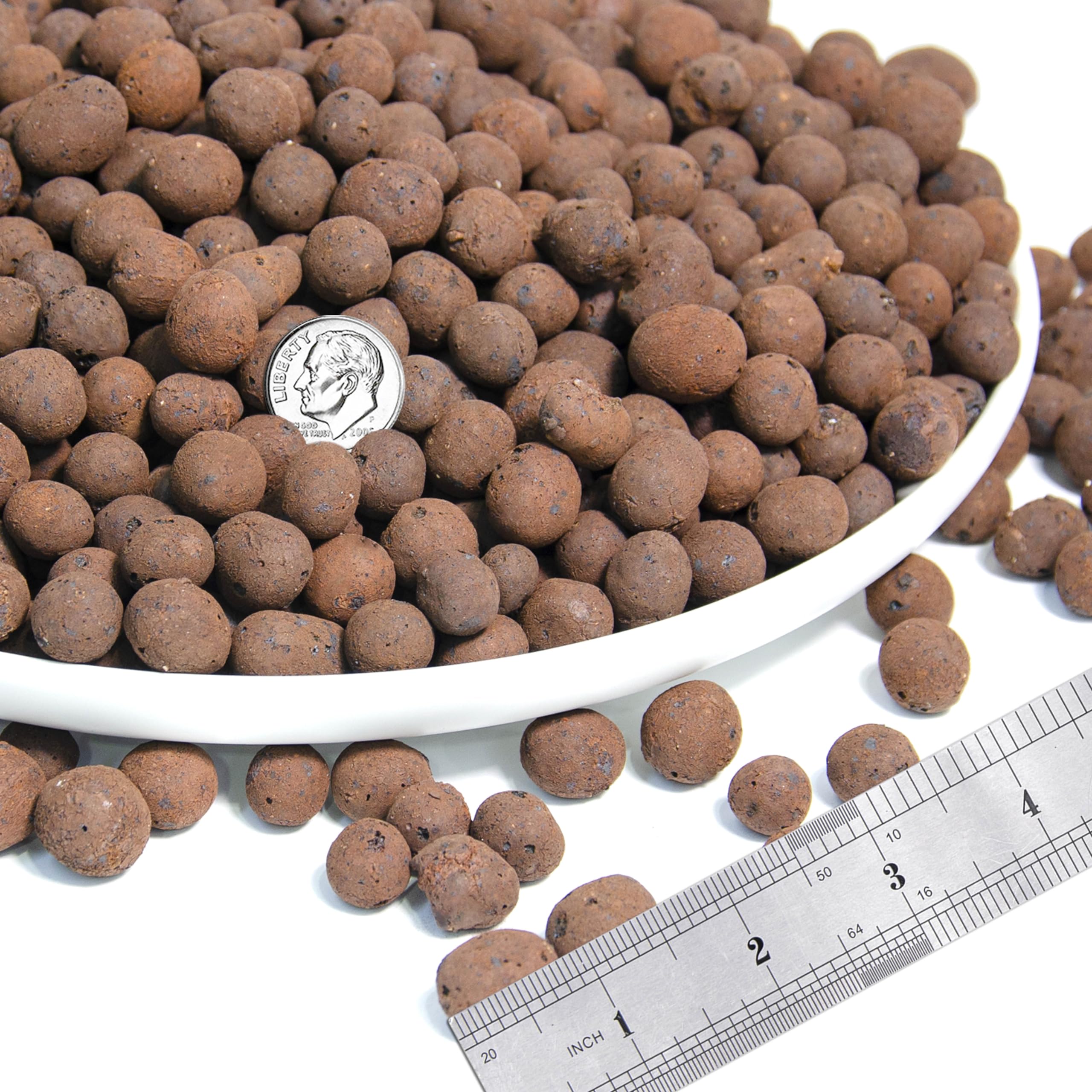 D'vine Dev hydroponics setup with leca beads for soilless growth