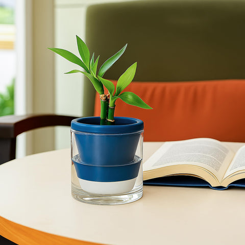 D'vine Dev included pot and glass cup arranged together for quick indoor planting.