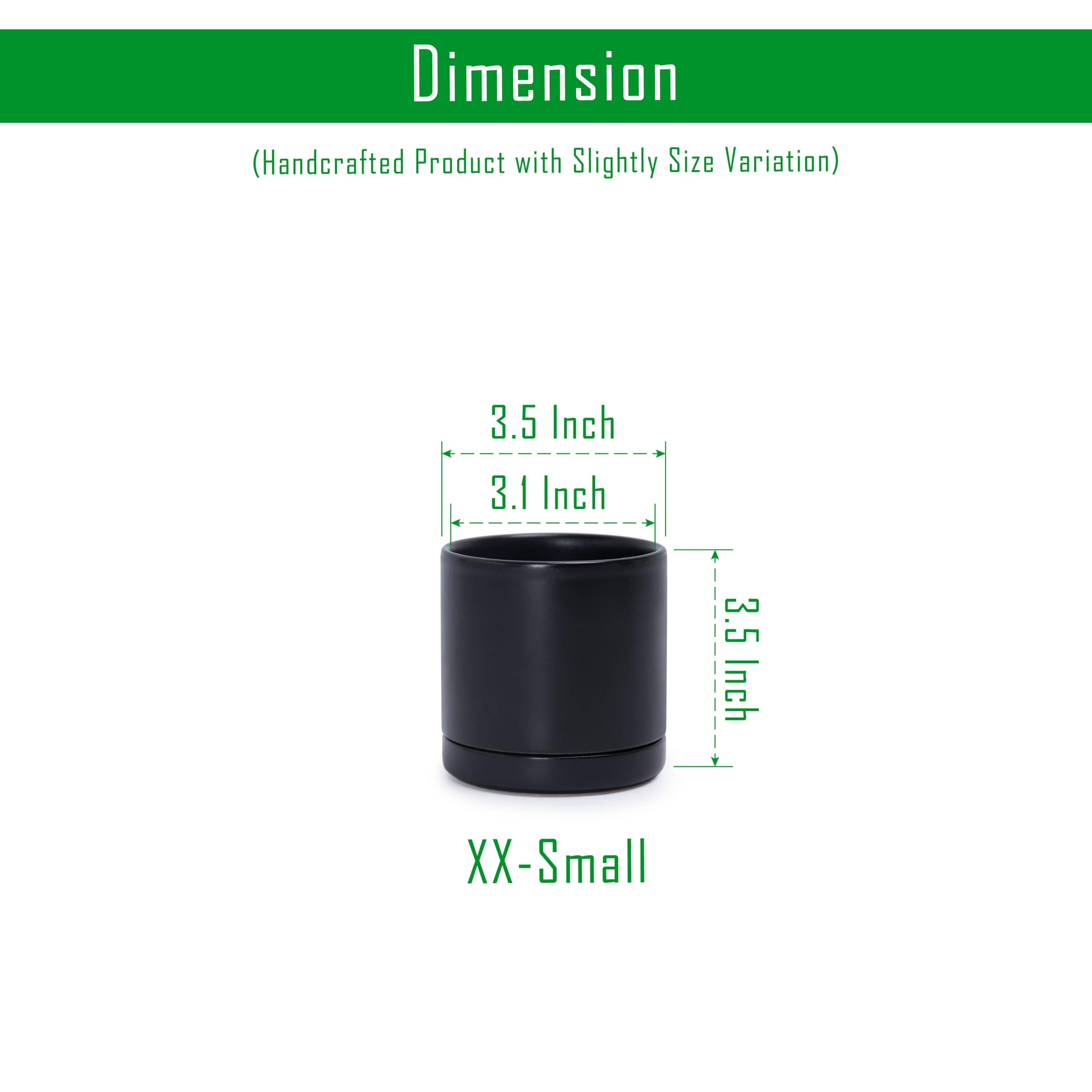 D'vine Dev indoor cylinder planter in black ceramic with sleek modern styling.