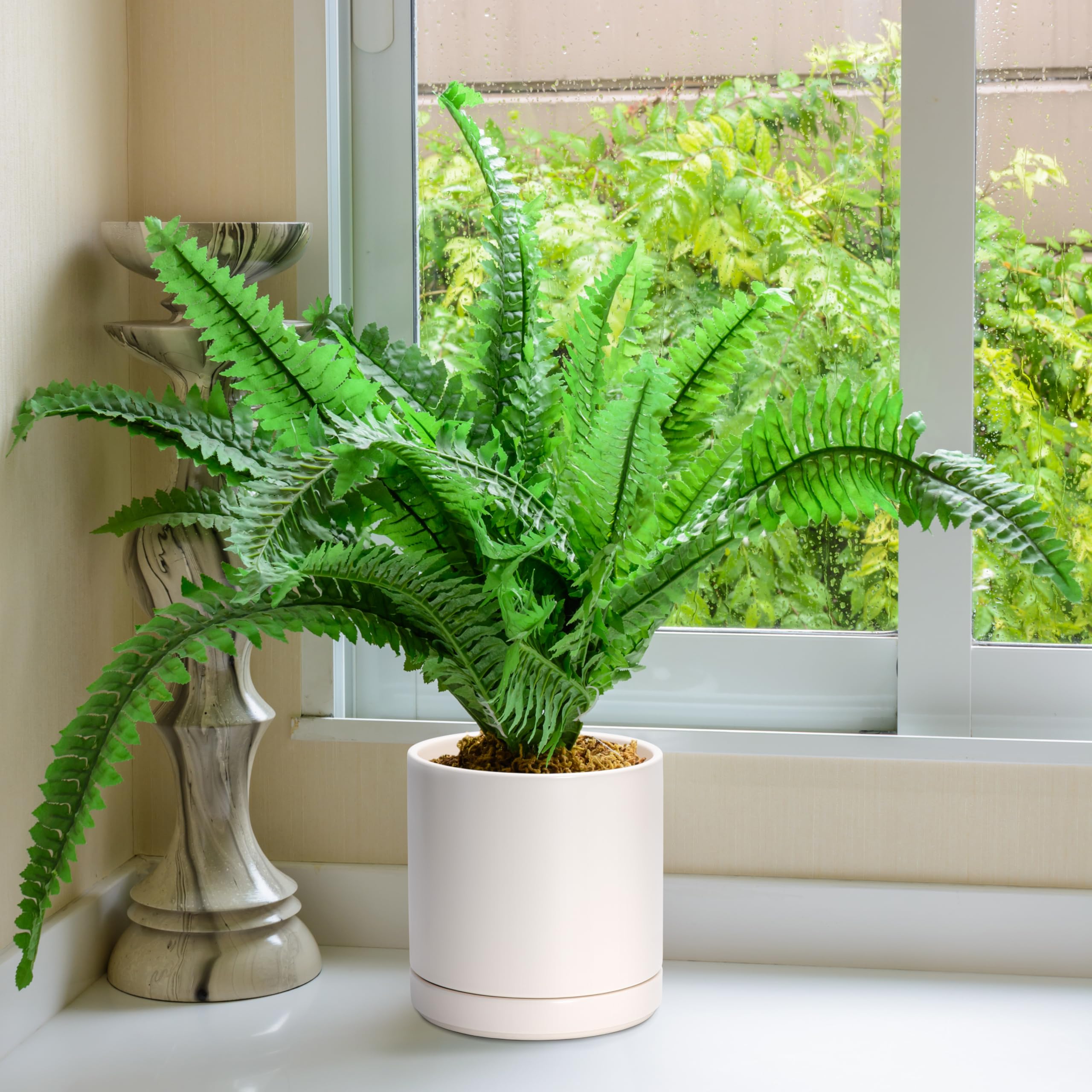 D'vine Dev indoor-outdoor ceramic planter shown for versatile placement