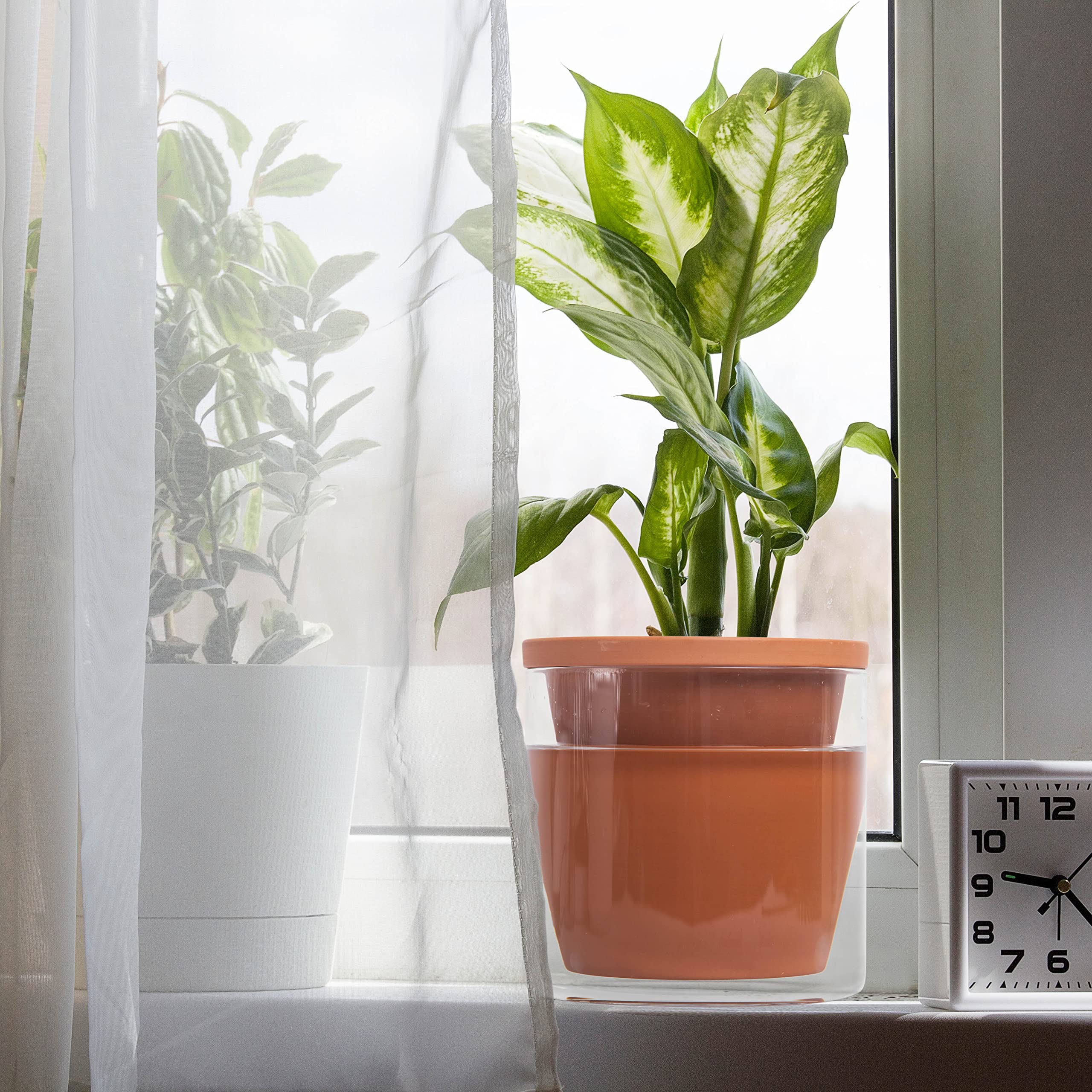 Indoor plant styling idea using D'vine Dev planters on a shelf